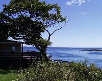 View toward ocean, looking across the porch of McFarland Cottage